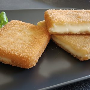 SER GOUDA PANIEROWANY